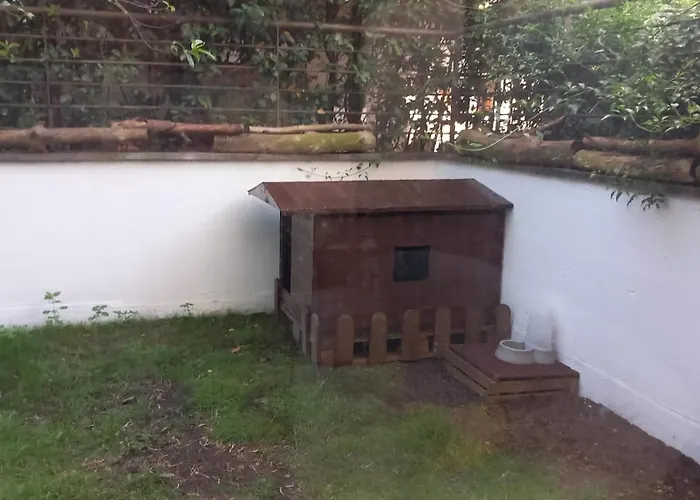 Bilocale Eur Grotta Perfetta 50mq Casa 32mq Sala Hobbies E 250mq Giardino דירה רומא